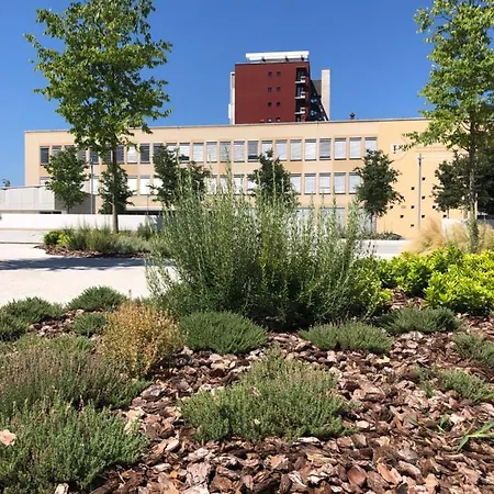 Lovely With Patio Near The Sea Koper